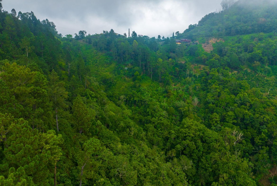 Thirteenth image of 20 Greenwich Drive in Irish Town P.A., St. Andrew, Jamaica - property is For Sale