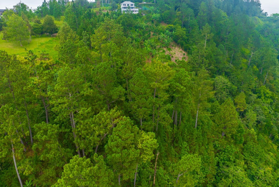 Fourteenth image of 20 Greenwich Drive in Irish Town P.A., St. Andrew, Jamaica - property is For Sale