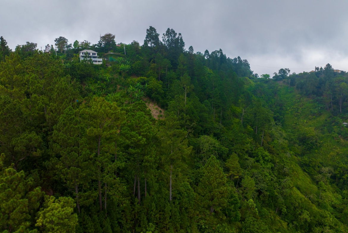 Fifteenth image of 20 Greenwich Drive in Irish Town P.A., St. Andrew, Jamaica - property is For Sale