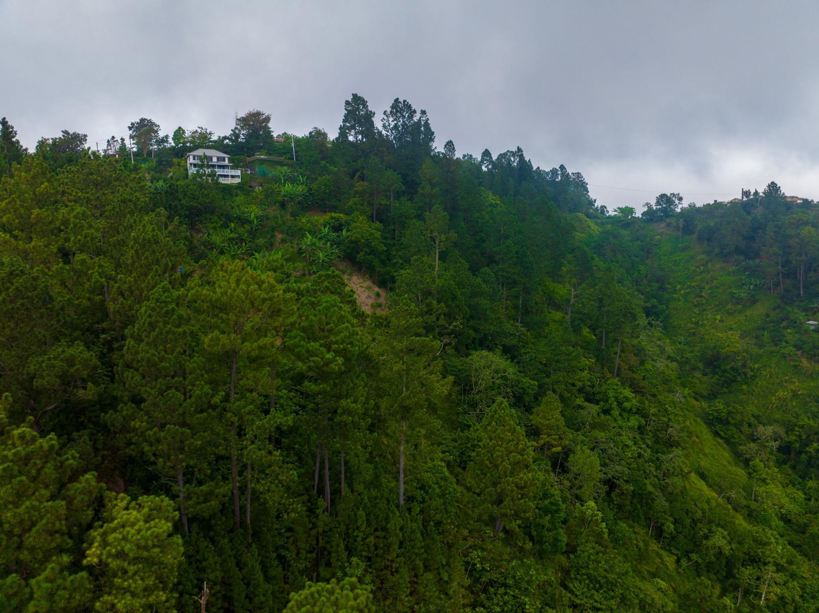 Exclusive-9-Acre-Residential-Land-for-Sale-in-Greenwich-Hill-Blue-Mountains-Jamaica Fifteenth image of 20 Greenwich Drive in Irish Town P.A., St. Andrew, Jamaica - property is For Sale