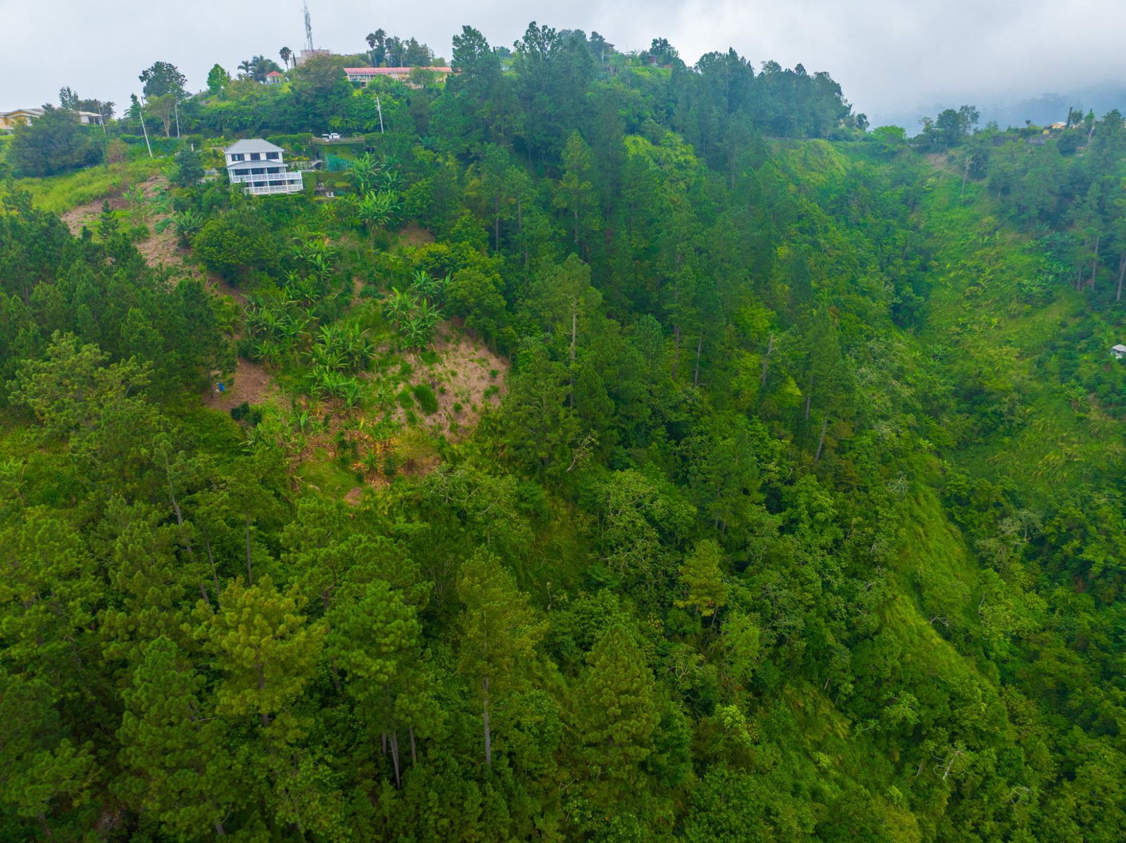 Exclusive-9-Acre-Residential-Land-for-Sale-in-Greenwich-Hill-Blue-Mountains-Jamaica Third image of 20 Greenwich Drive in Irish Town P.A., St. Andrew, Jamaica - property is For Sale