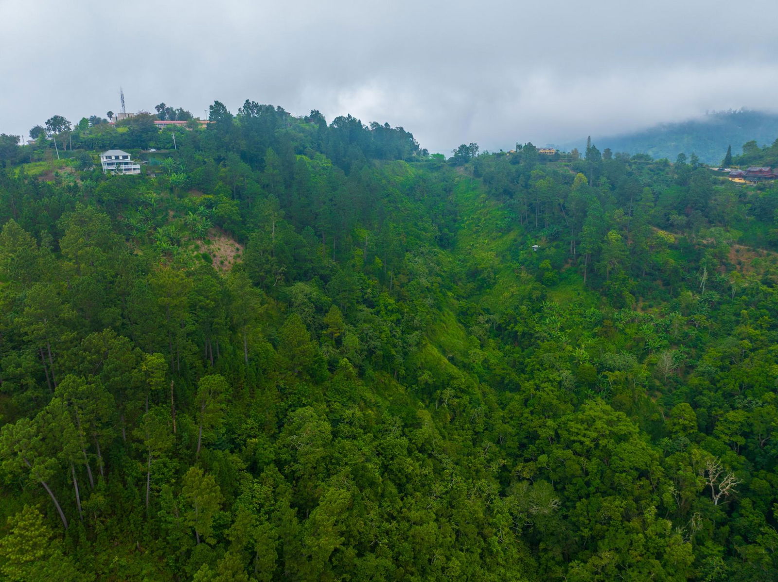 Exclusive-9-Acre-Residential-Land-for-Sale-in-Greenwich-Hill-Blue-Mountains-Jamaica Fourth image of 20 Greenwich Drive in Irish Town P.A., St. Andrew, Jamaica - property is For Sale