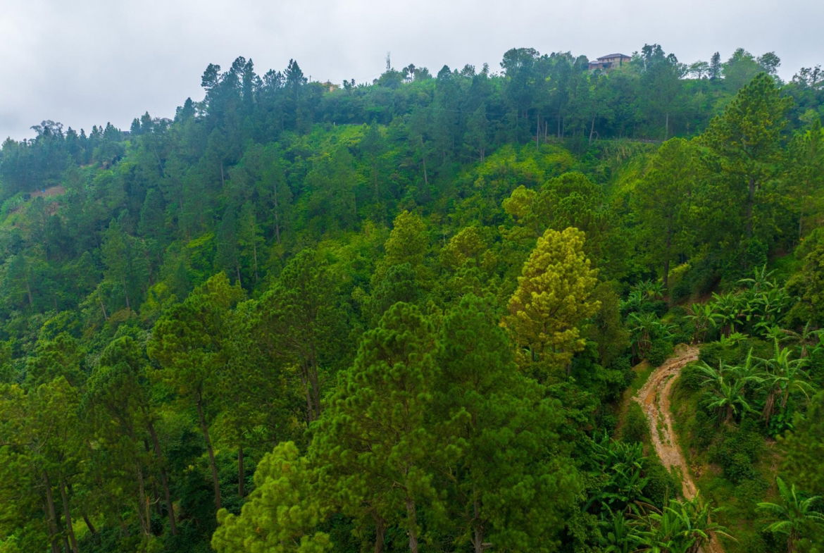 Sixth image of 20 Greenwich Drive in Irish Town P.A., St. Andrew, Jamaica - property is For Sale