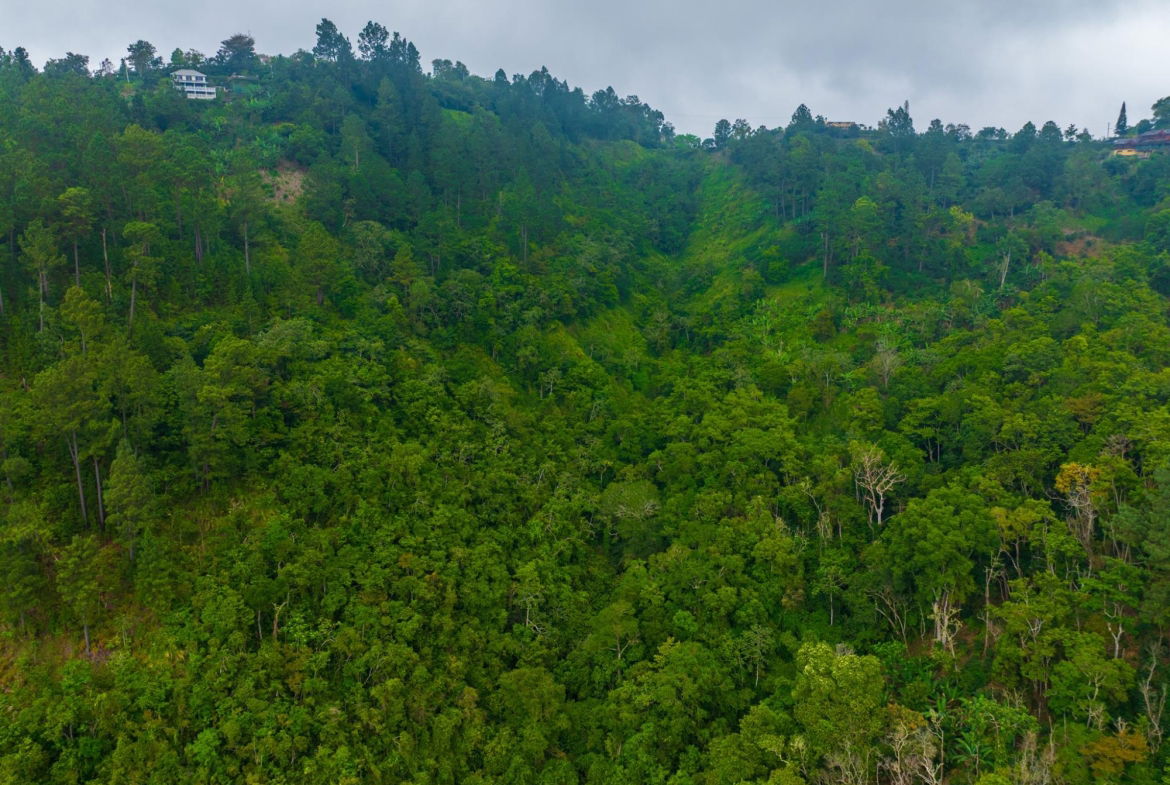 Seventh image of 20 Greenwich Drive in Irish Town P.A., St. Andrew, Jamaica - property is For Sale