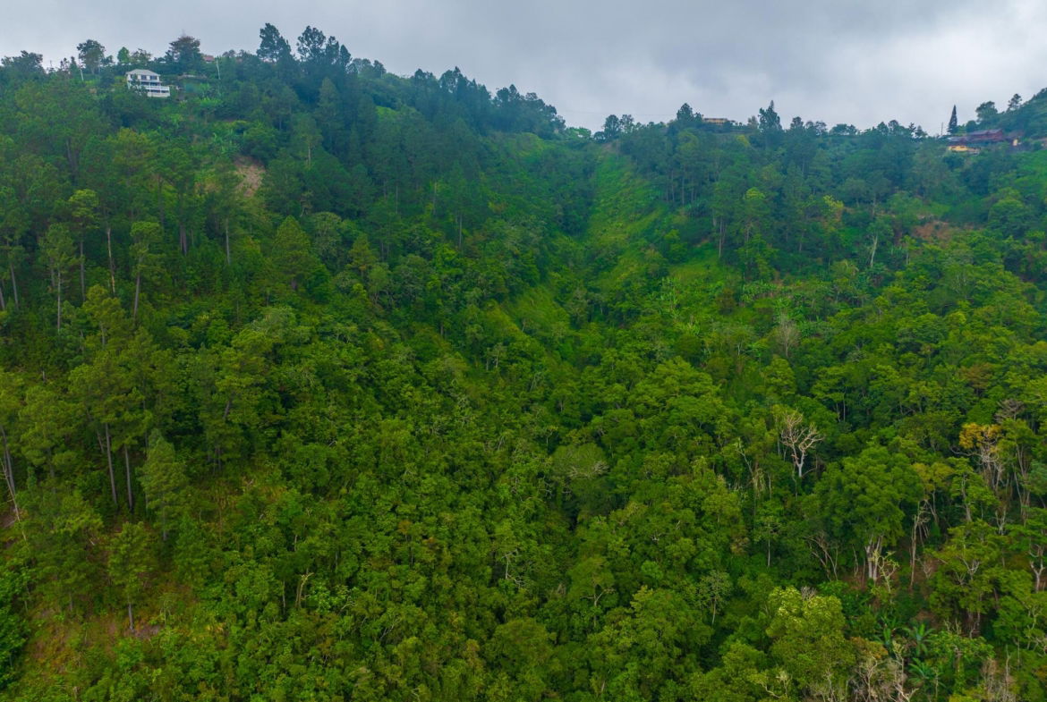 Eighth image of 20 Greenwich Drive in Irish Town P.A., St. Andrew, Jamaica - property is For Sale