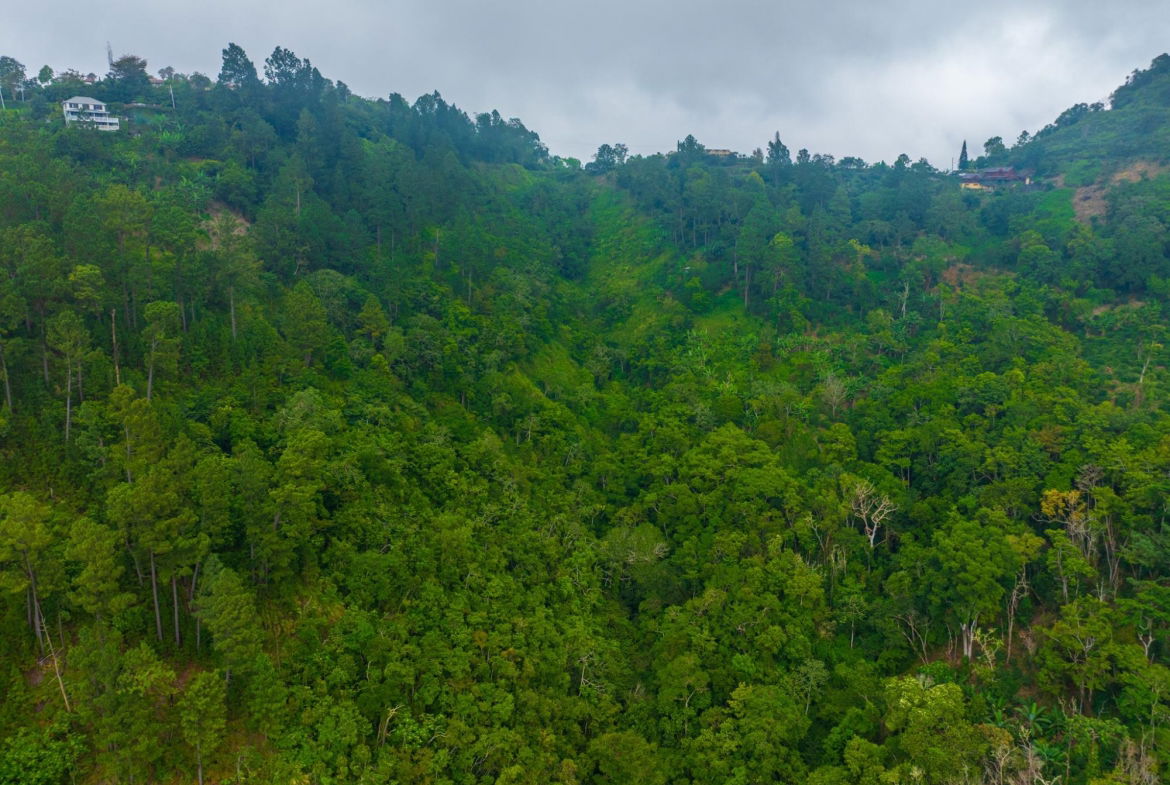 Ninth image of 20 Greenwich Drive in Irish Town P.A., St. Andrew, Jamaica - property is For Sale