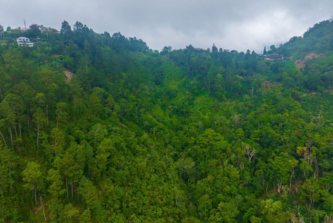 Tenth image of 20 Greenwich Drive in Irish Town P.A., St. Andrew, Jamaica - property is For Sale