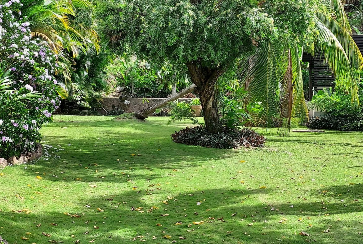 Nineteenth image of 2-1a Upper Melwood Avenue in Kingston 8, St. Andrew, Jamaica - property is For Sale