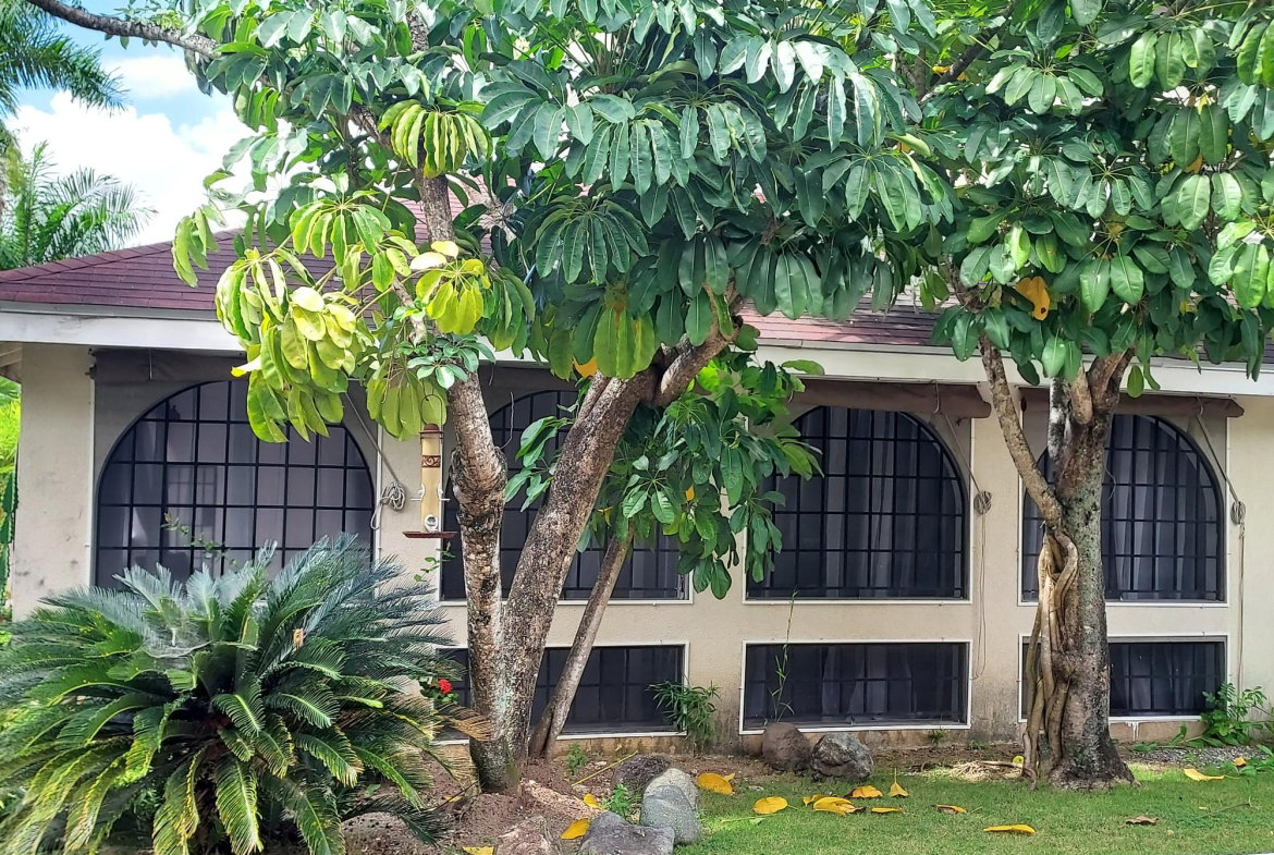 Twentieth image of 2-1a Upper Melwood Avenue in Kingston 8, St. Andrew, Jamaica - property is For Sale