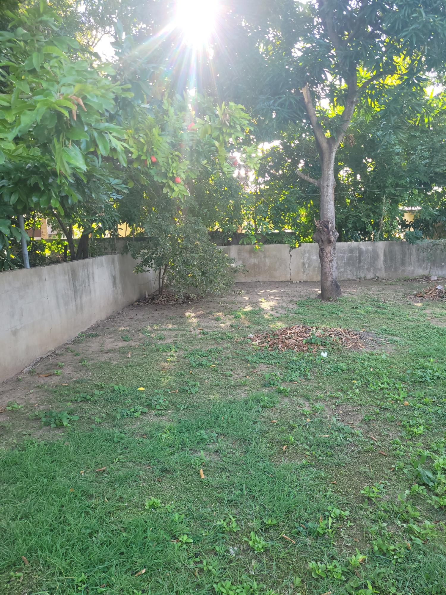 Twelfth image of 26 Fione Avenue in Spanish Town, St. Catherine, Jamaica - property is For Sale