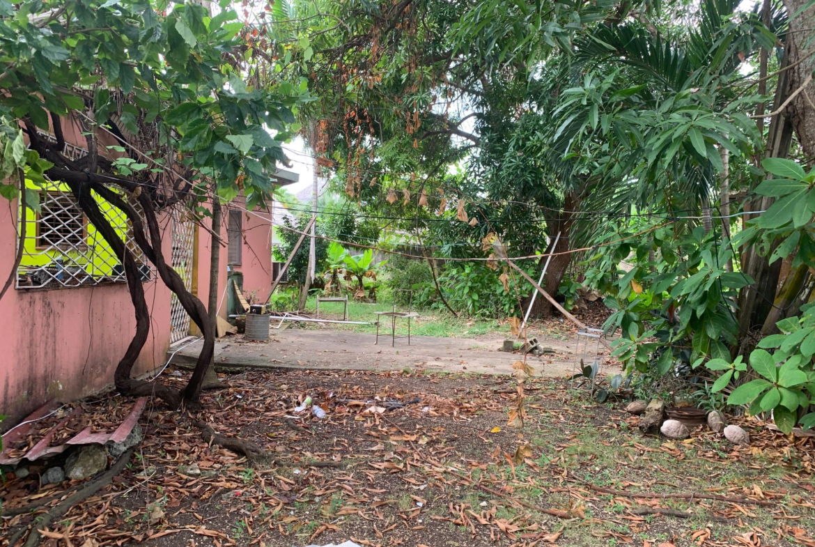 Eleventh image of Lot 8 Llandovery Estate in SALEM, St. Ann, Jamaica - property is For Sale