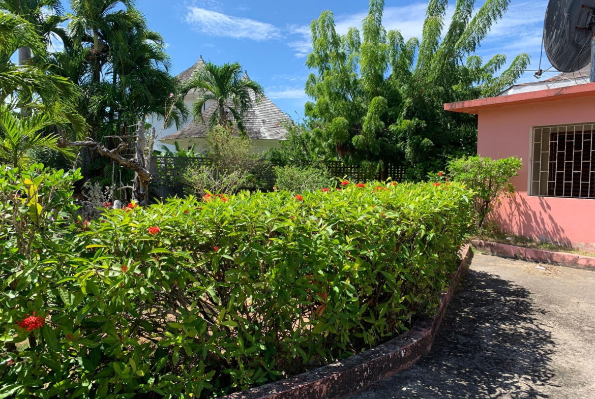 Twelfth image of Lot 8 Llandovery Estate in SALEM, St. Ann, Jamaica - property is For Sale