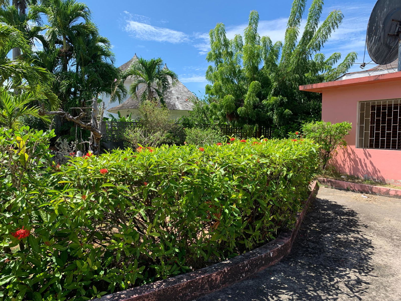 Twelfth image of Lot 8 Llandovery Estate in SALEM, St. Ann, Jamaica - property is For Sale