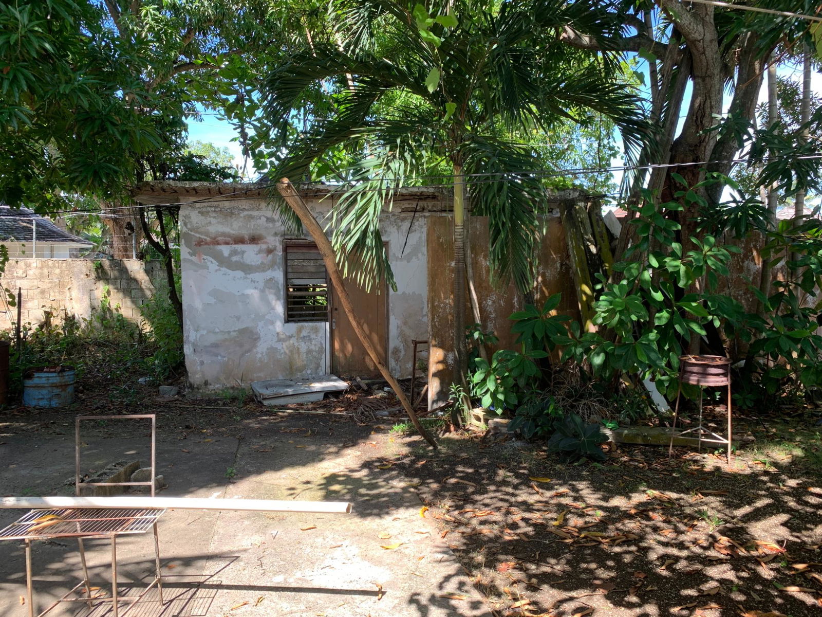 Sixteenth image of Lot 8 Llandovery Estate in SALEM, St. Ann, Jamaica - property is For Sale