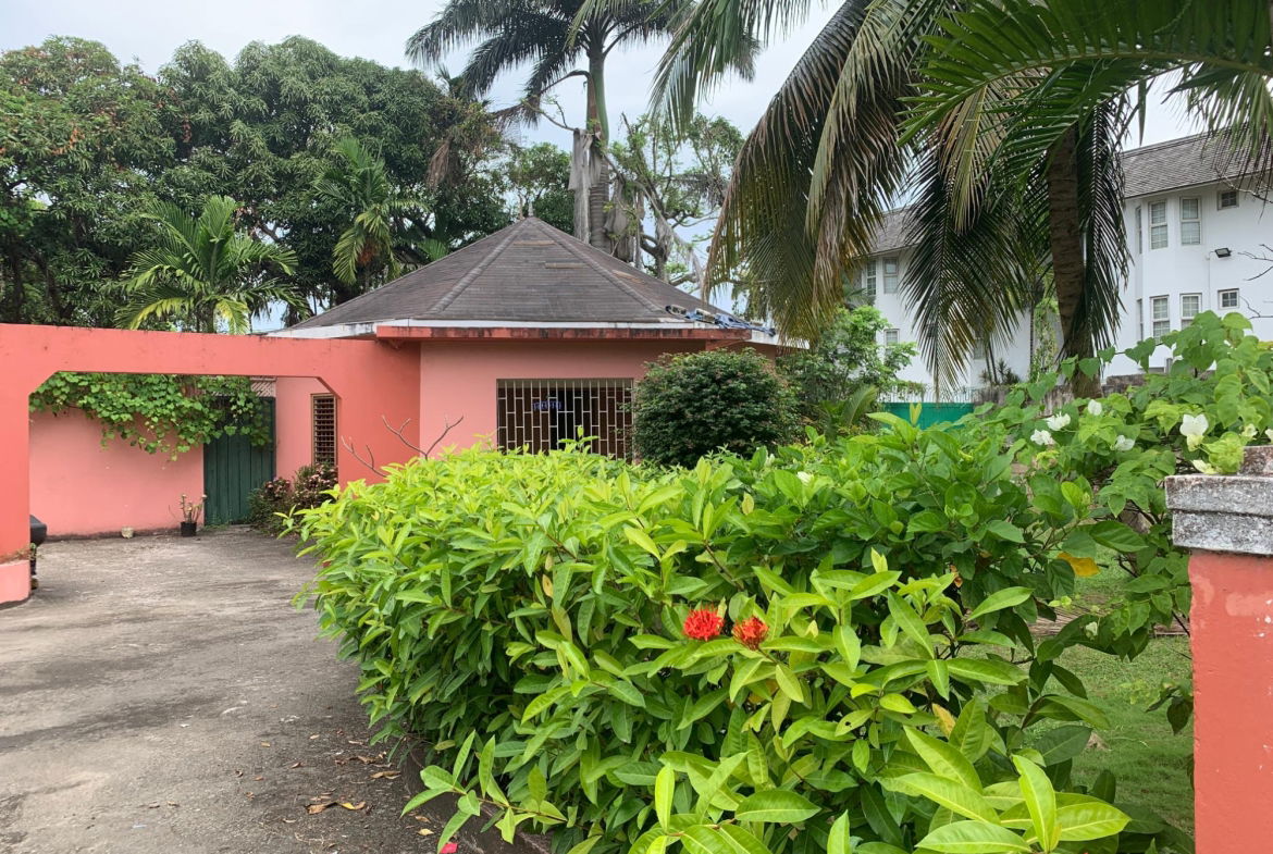 Third image of Lot 8 Llandovery Estate in SALEM, St. Ann, Jamaica - property is For Sale