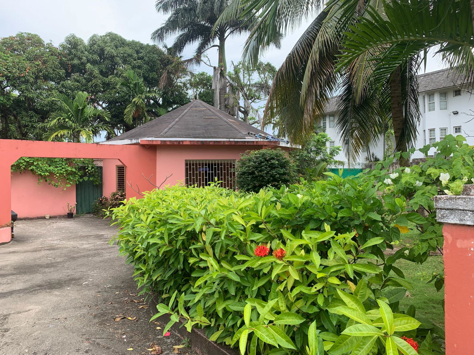 Third image of Lot 8 Llandovery Estate in SALEM, St. Ann, Jamaica - property is For Sale