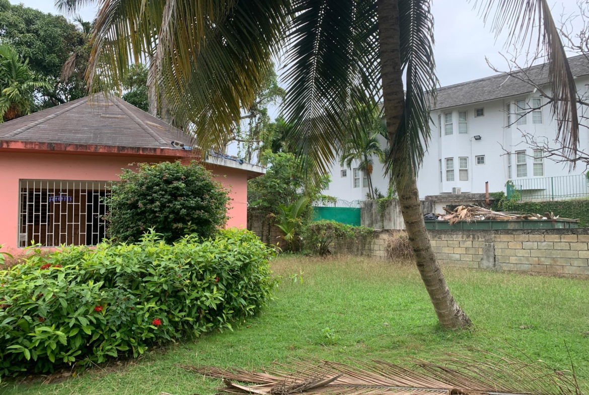 Eighth image of Lot 8 Llandovery Estate in SALEM, St. Ann, Jamaica - property is For Sale