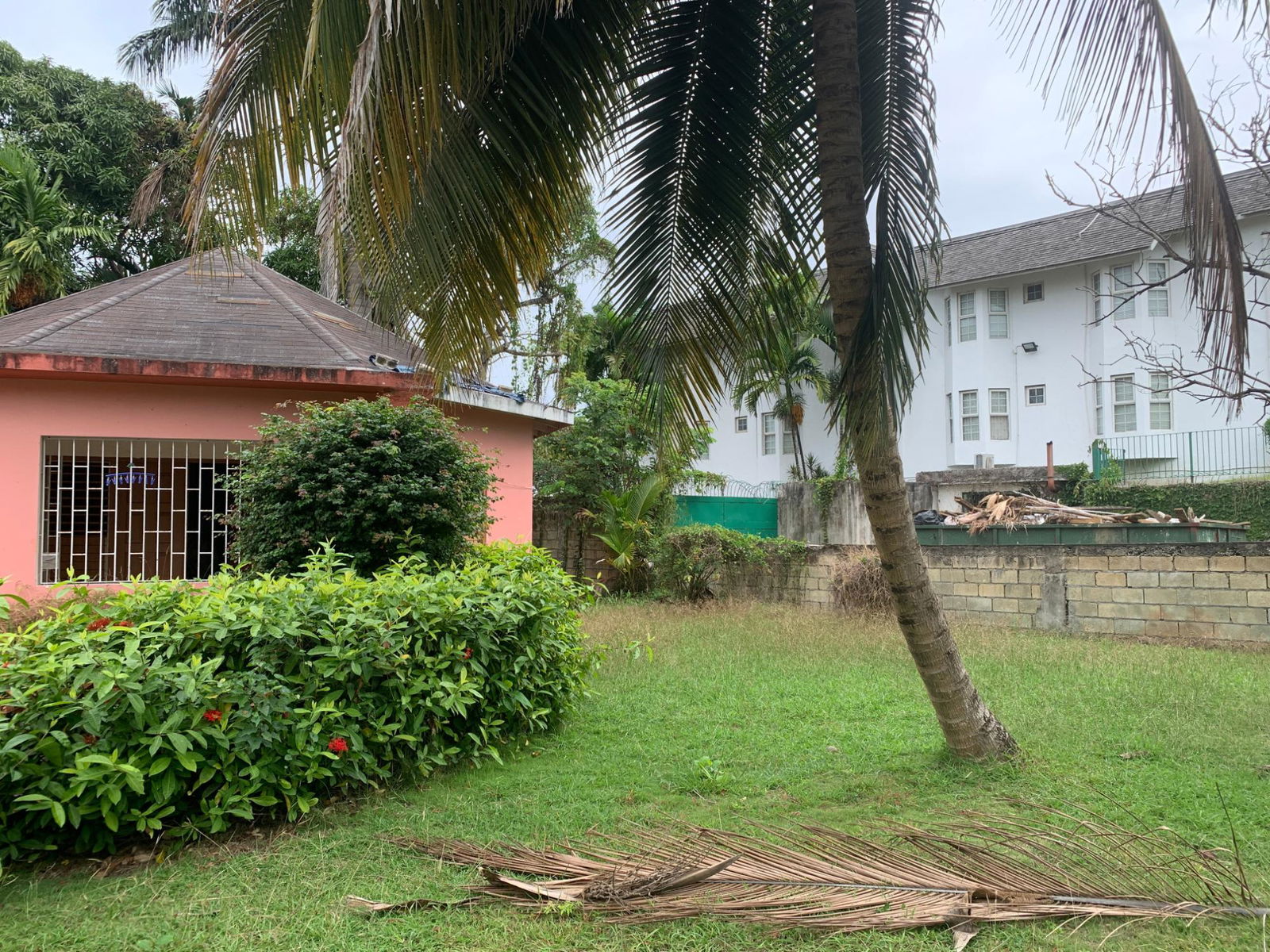 Eighth image of Lot 8 Llandovery Estate in SALEM, St. Ann, Jamaica - property is For Sale