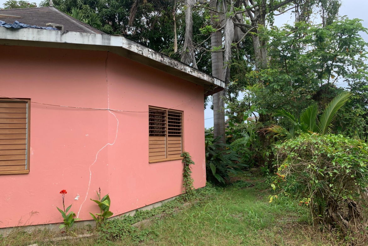Ninth image of Lot 8 Llandovery Estate in SALEM, St. Ann, Jamaica - property is For Sale