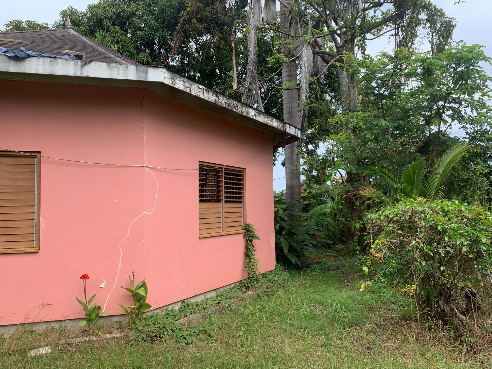 Ninth image of Lot 8 Llandovery Estate in SALEM, St. Ann, Jamaica - property is For Sale