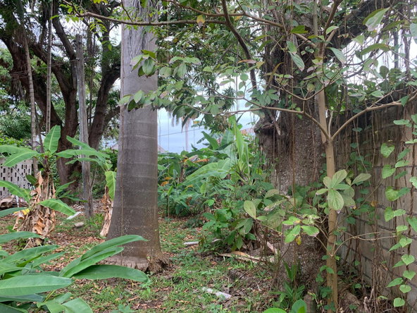 Tenth image of Lot 8 Llandovery Estate in SALEM, St. Ann, Jamaica - property is For Sale
