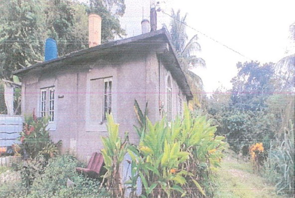 Second image of Lot 9 Part of Kayes Estate in Kays, Clarendon, Jamaica - property is For Sale