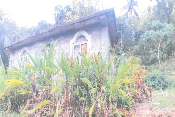 Fourth image of Lot 9 Part of Kayes Estate in Kays, Clarendon, Jamaica - property is For Sale