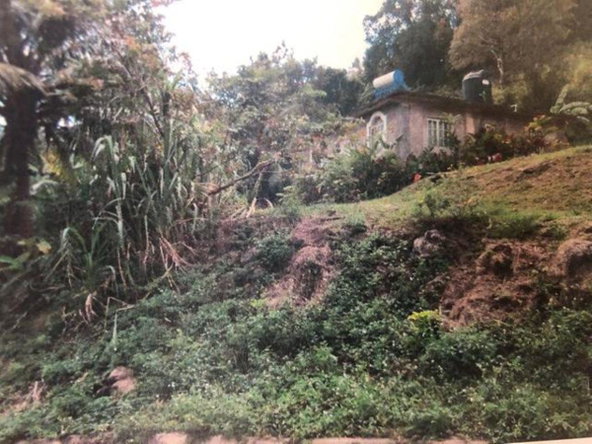 Fifth image of Lot 9 Part of Kayes Estate in Kays, Clarendon, Jamaica - property is For Sale