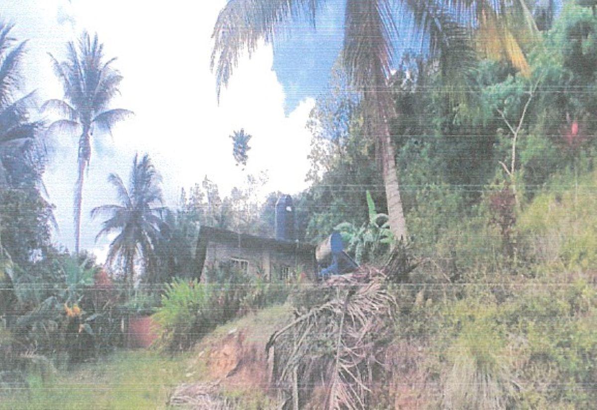 Sixth image of Lot 9 Part of Kayes Estate in Kays, Clarendon, Jamaica - property is For Sale
