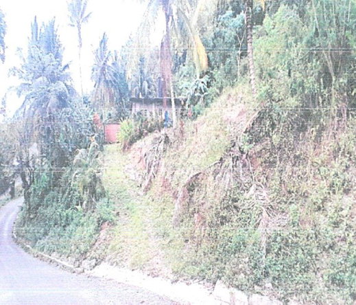 Seventh image of Lot 9 Part of Kayes Estate in Kays, Clarendon, Jamaica - property is For Sale