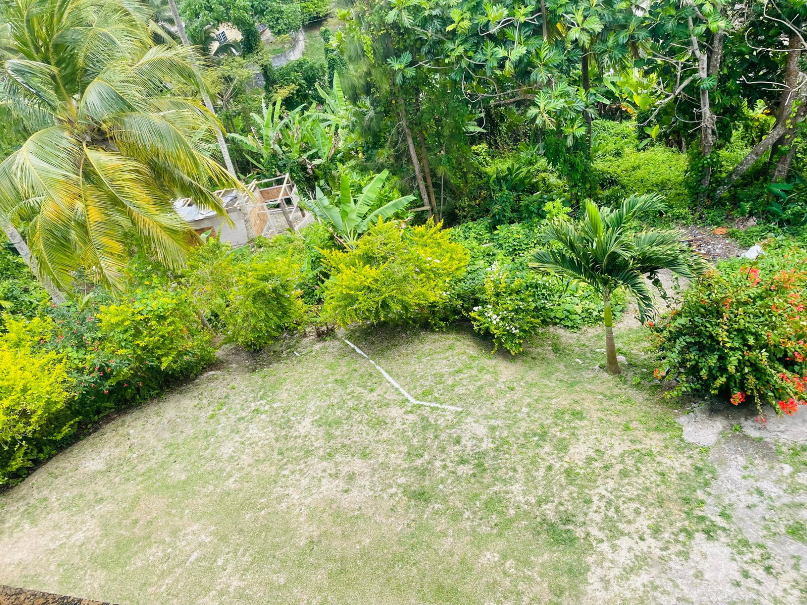 Third image of 1 Clifton Lodge in Lodge, St. Ann, Jamaica - property is For Sale