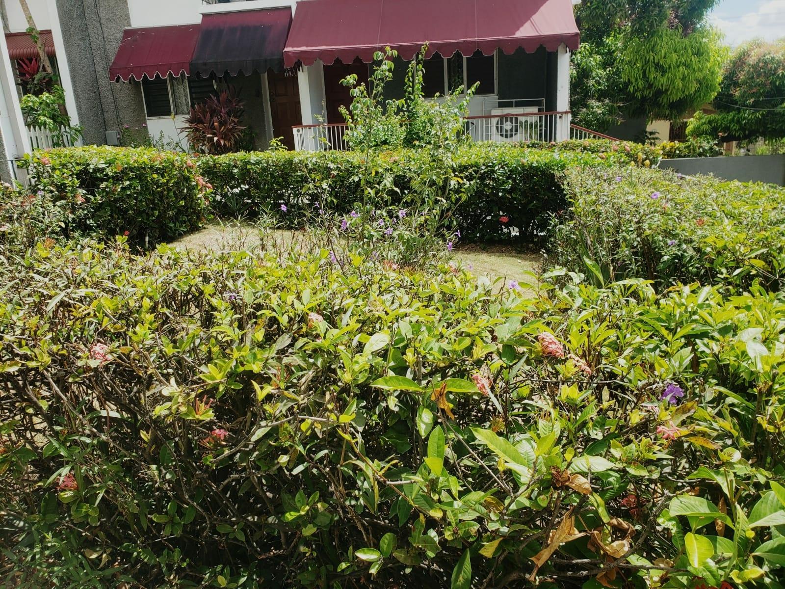 Fixer-Upper-Townhouse-for-Sale-in-St.-Andrew-Jamaica-–-Great-Investment-Opportunity Fifth image of 8- Ritchie Mews in Kingston 8, St. Andrew, Jamaica - property is For Sale