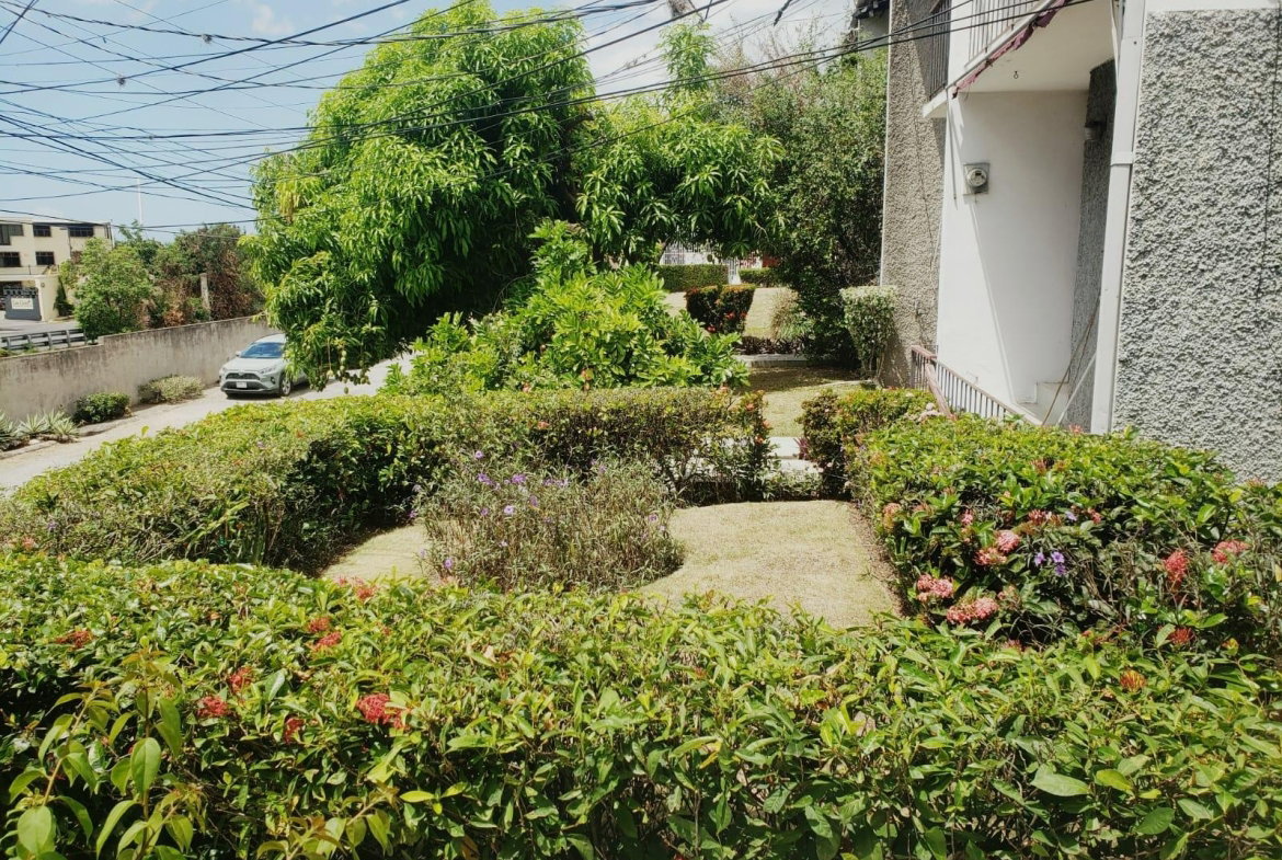 Seventh image of 8- Ritchie Mews in Kingston 8, St. Andrew, Jamaica - property is For Sale