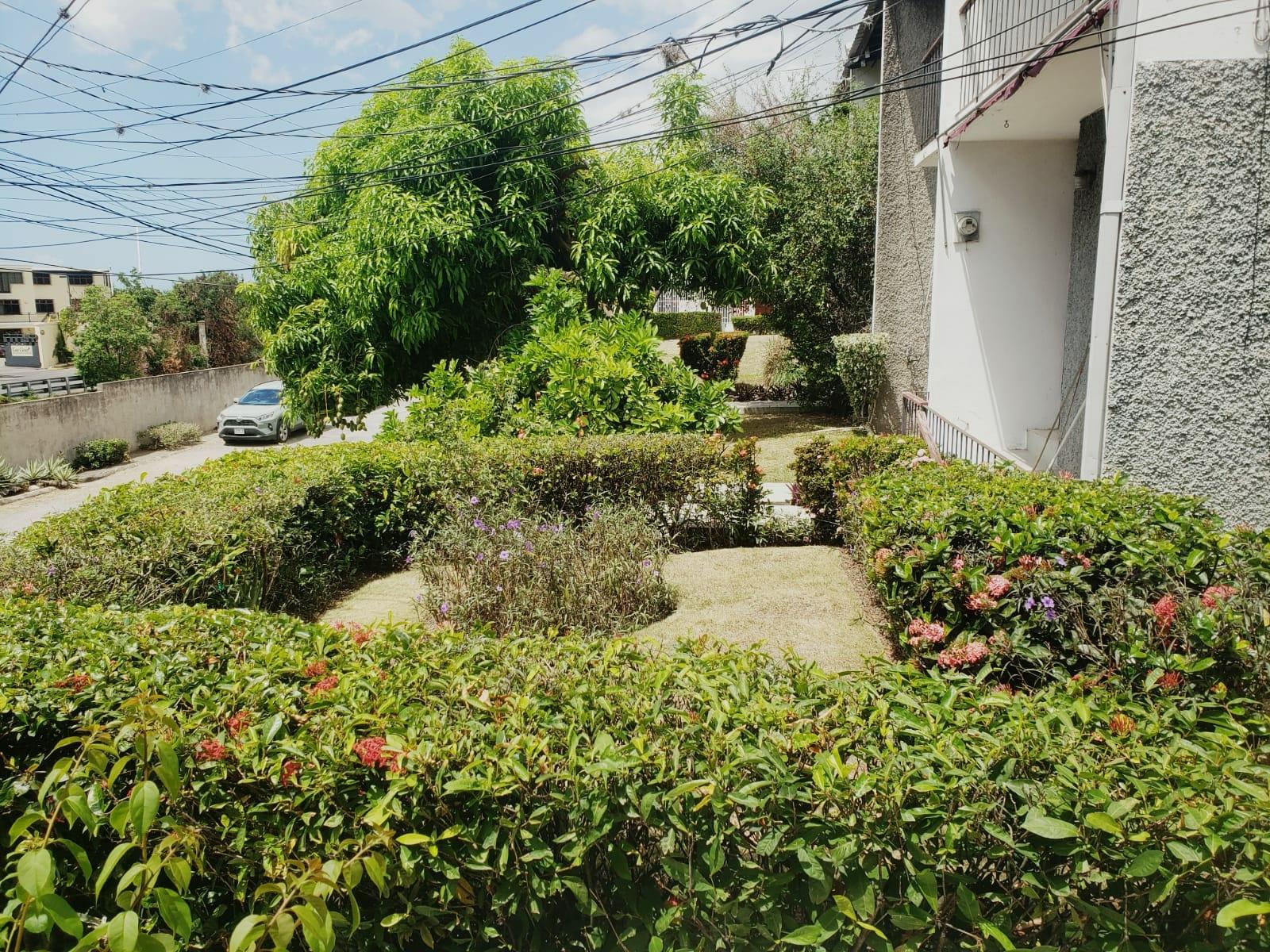 Fixer-Upper-Townhouse-for-Sale-in-St.-Andrew-Jamaica-–-Great-Investment-Opportunity Seventh image of 8- Ritchie Mews in Kingston 8, St. Andrew, Jamaica - property is For Sale
