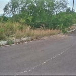 First image of 44 Fiddlewood Close in Kingston 6, St. Andrew, Jamaica - property is For Sale