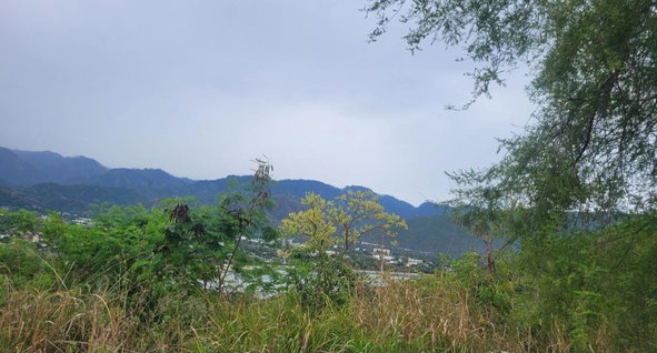 Sixth image of 44 Fiddlewood Close in Kingston 6, St. Andrew, Jamaica - property is For Sale