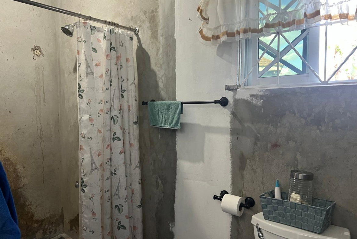 Thirteenth image of 62 Land Part of Fyall in Fyall Estate, Clarendon, Jamaica - property is For Sale