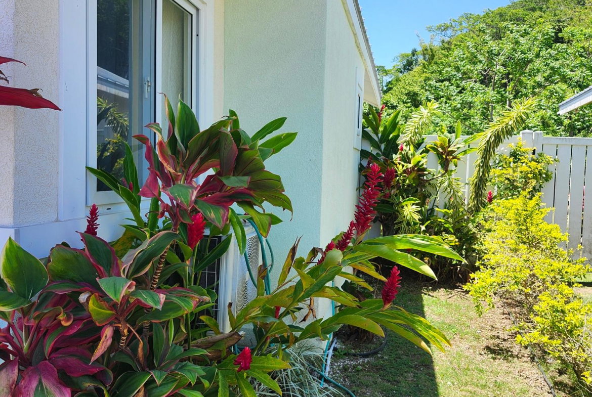Twelfth image of 109-109 109 Seashore in Lucea, Hanover, Jamaica - property is For Rent