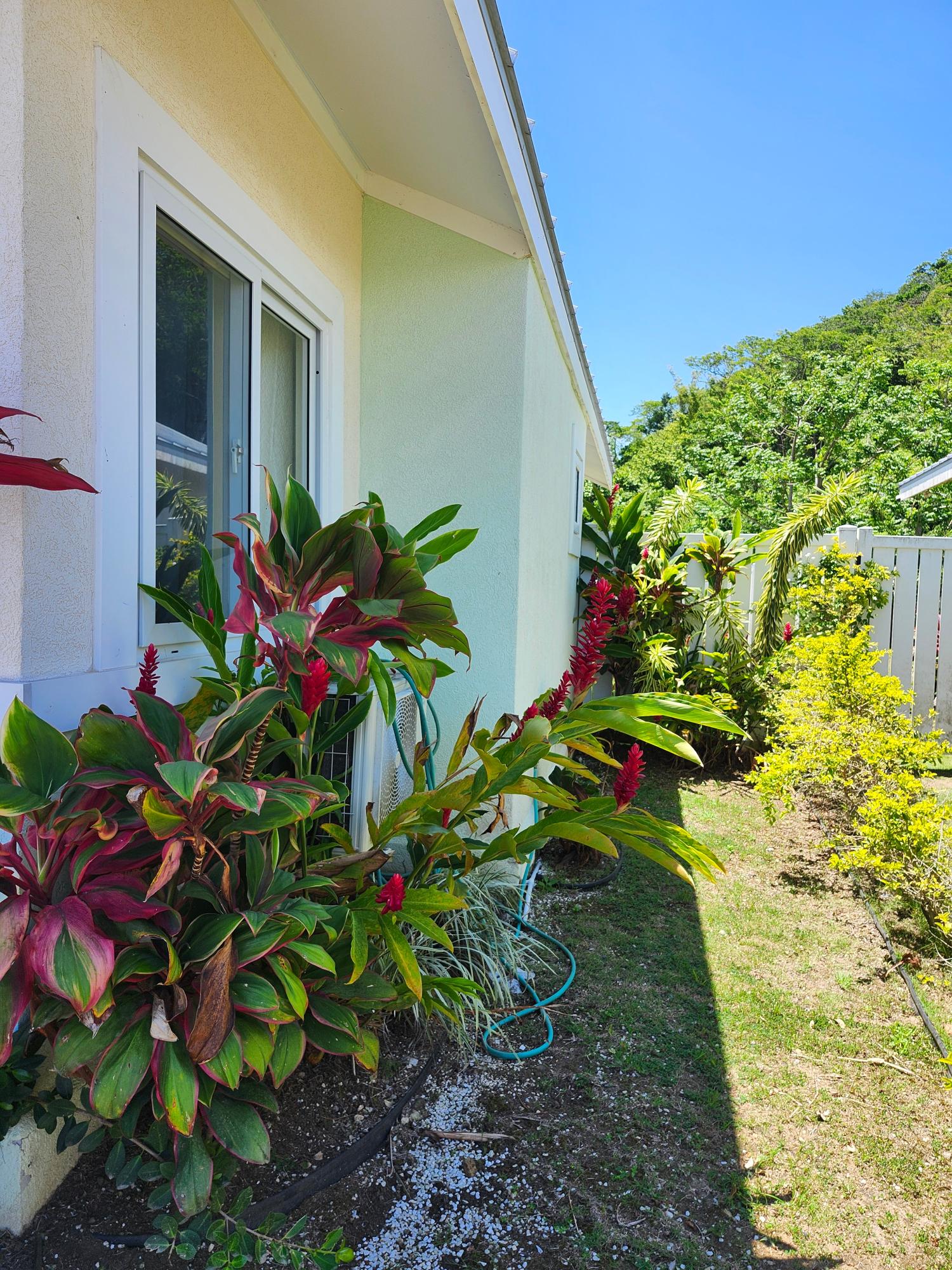 Twelfth image of 109-109 109 Seashore in Lucea, Hanover, Jamaica - property is For Rent