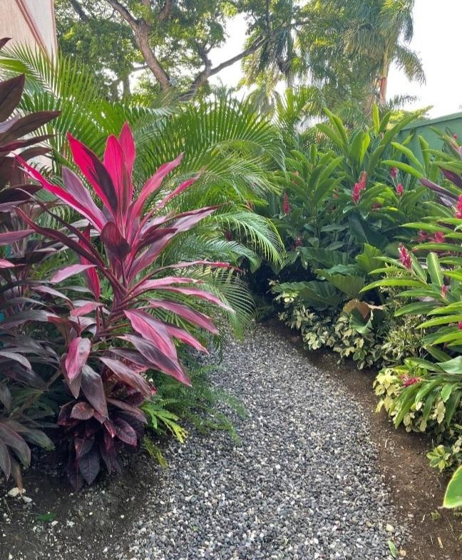 Tenth image of 3-1 Palm Drive in Montego Bay, St. James, Jamaica - property is For Sale