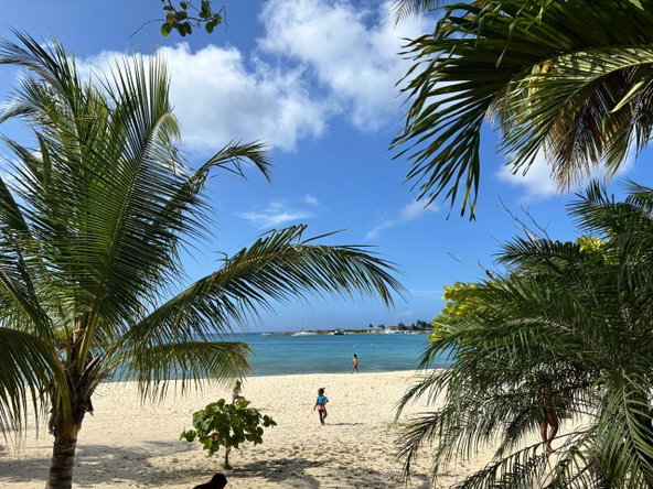 Eighth image of 24c- Turtle Beach Towers in Ocho Rios, St. Ann, Jamaica - property is For Rent