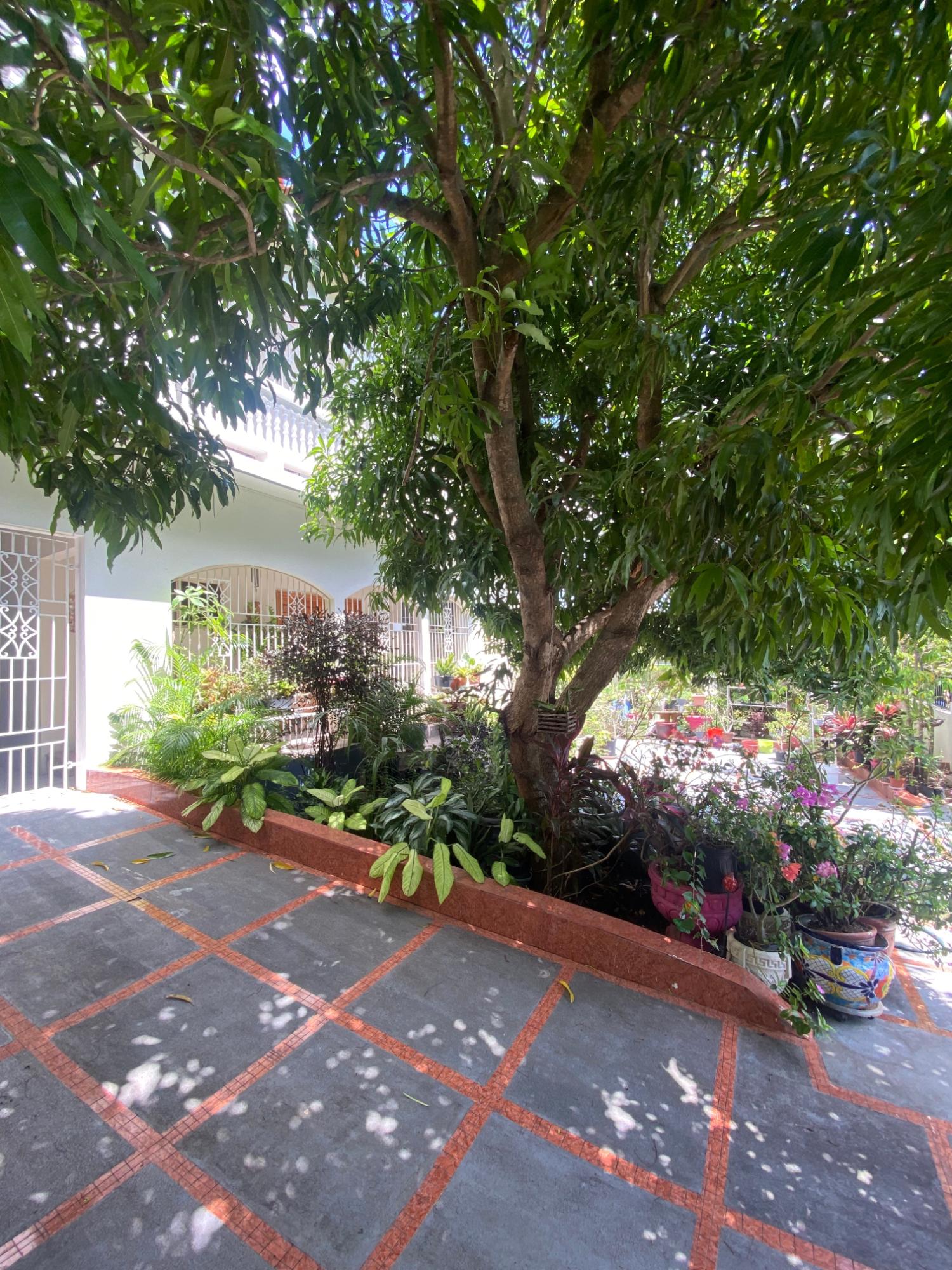 Fourth image of 155 Milano Drive, Vista Del m in Vista Del Mar, St. Ann, Jamaica - property is For Rent