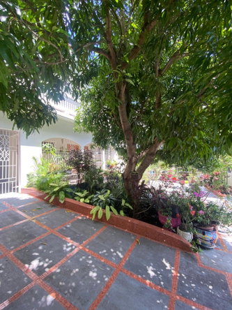 Fourth image of 155 Milano Drive, Vista Del m in Vista Del Mar, St. Ann, Jamaica - property is For Rent