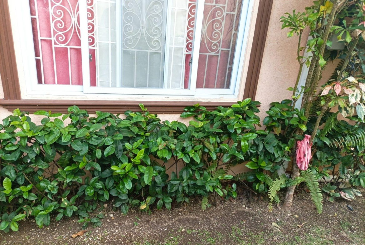 Eighteenth image of 381- Coconut Drive in Irwin, St. James, Jamaica - property is For Rent