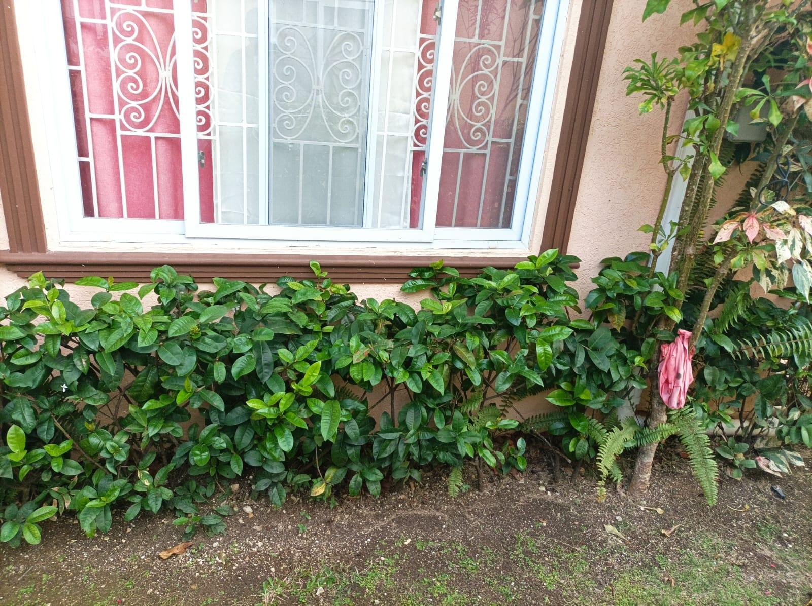 Eighteenth image of 381- Coconut Drive in Irwin, St. James, Jamaica - property is For Rent