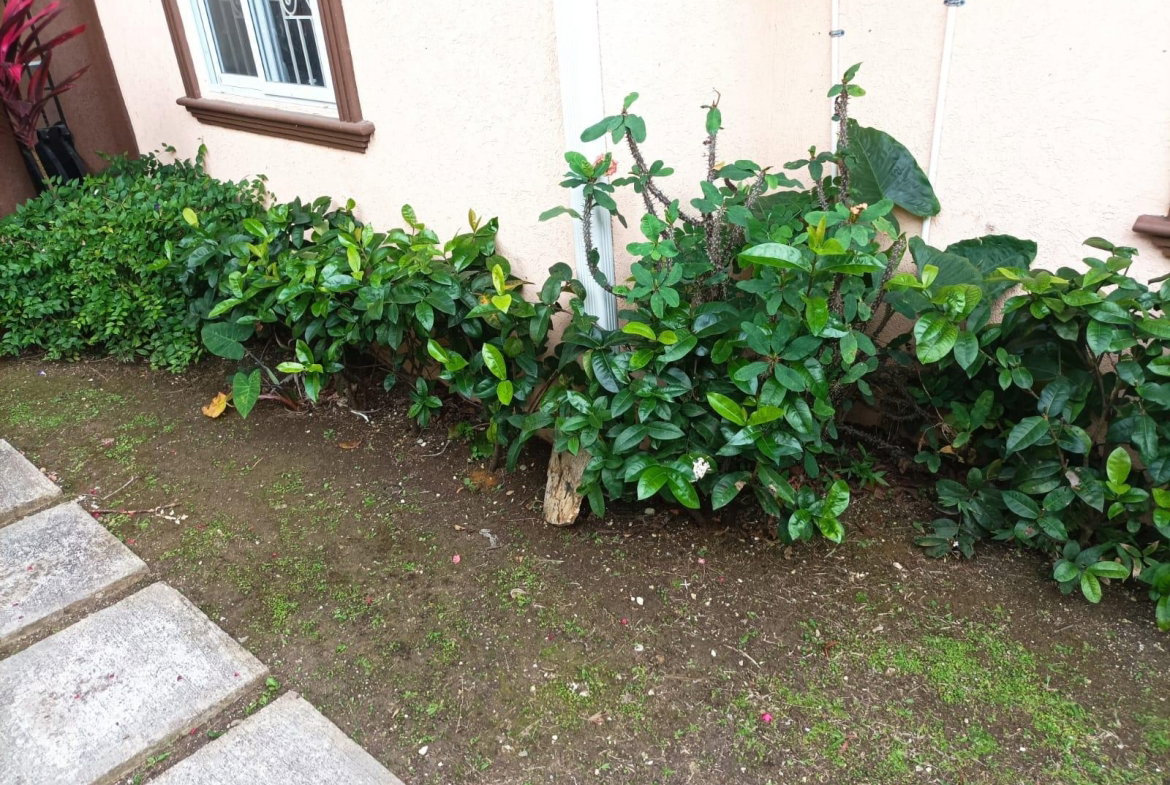 Nineteenth image of 381- Coconut Drive in Irwin, St. James, Jamaica - property is For Rent