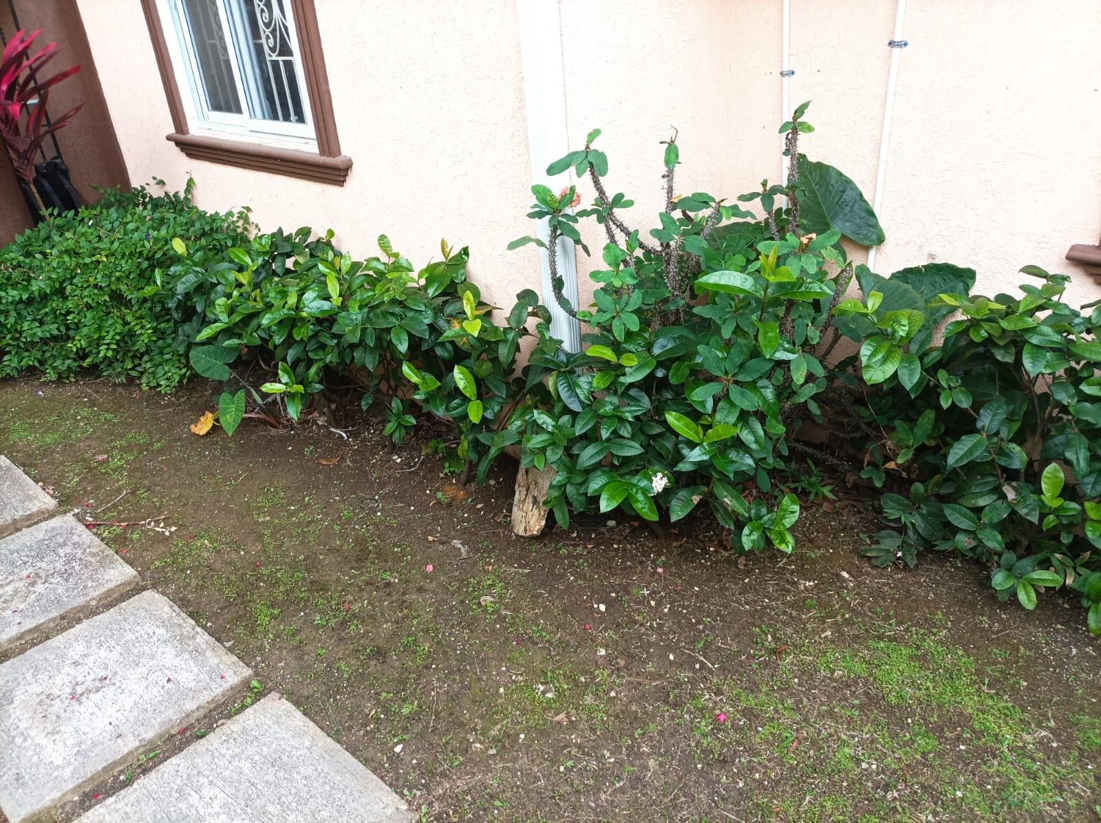 Nineteenth image of 381- Coconut Drive in Irwin, St. James, Jamaica - property is For Rent