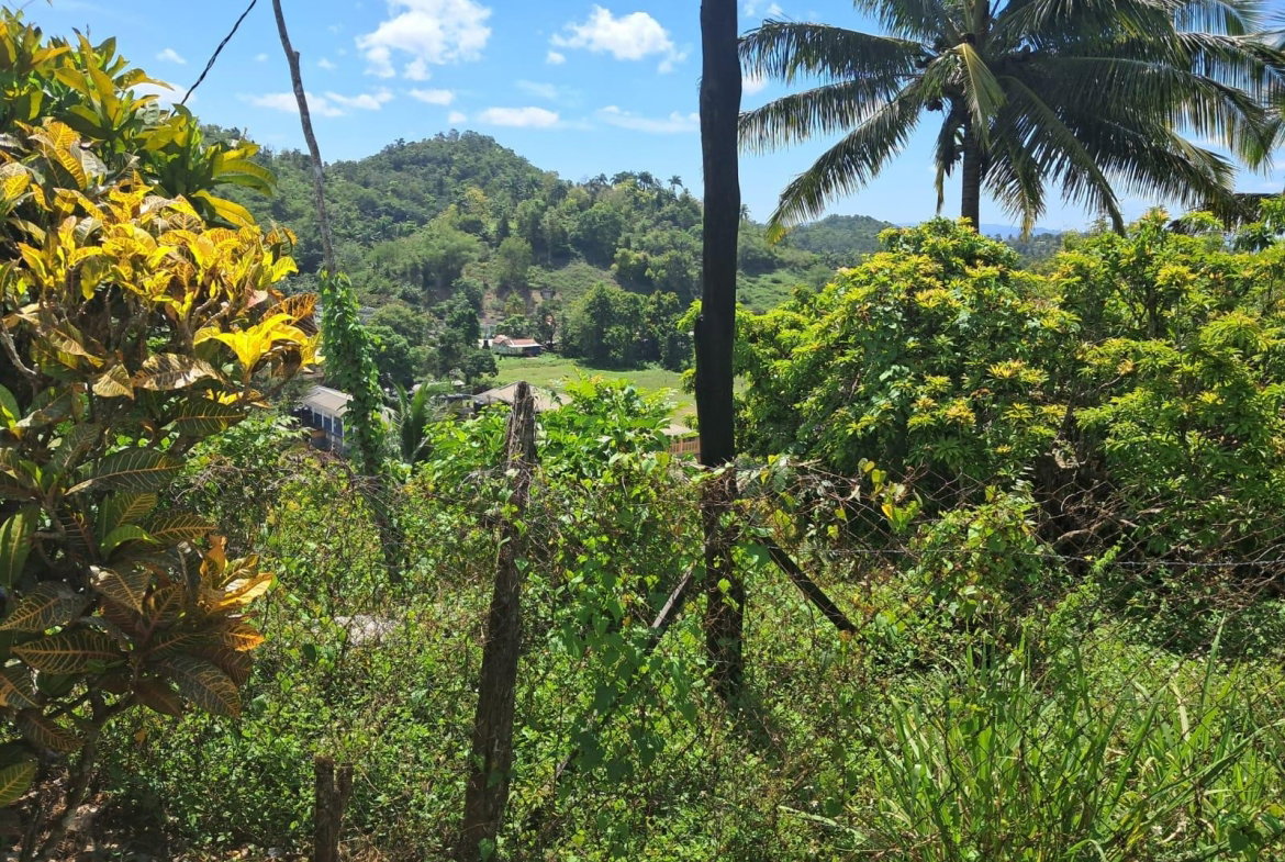 Seventh image of Lot 2 & 3-anchovy St. James in Anchovy, St. James, Jamaica - property is For Sale