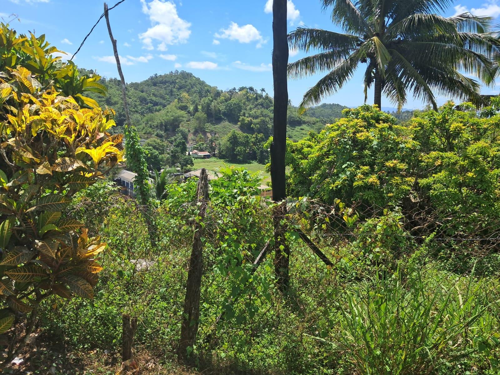 Seventh image of Lot 2 & 3-anchovy St. James in Anchovy, St. James, Jamaica - property is For Sale