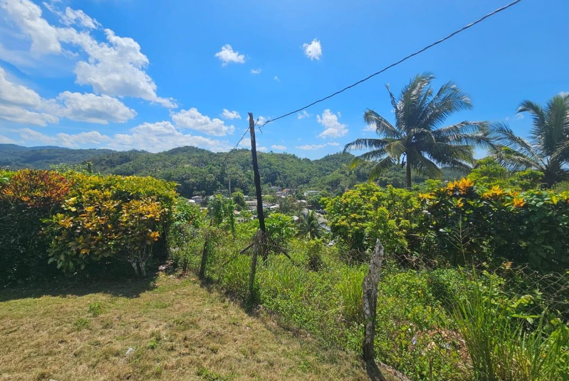 Ninth image of Lot 2 & 3-anchovy St. James in Anchovy, St. James, Jamaica - property is For Sale